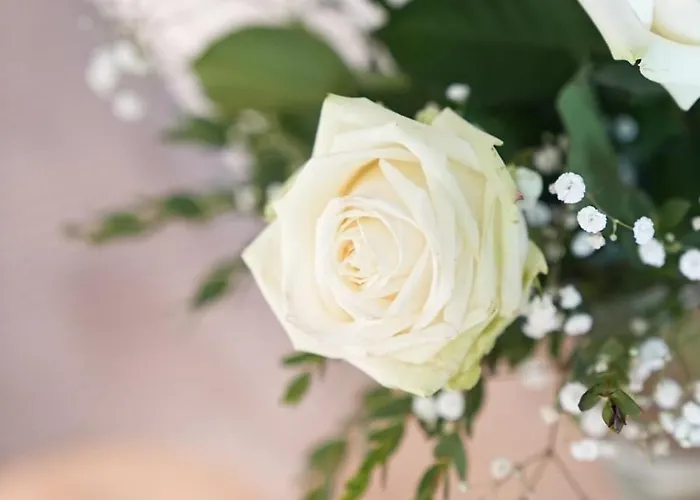 Appartement 600m Zur Nordsee - Hunde Willkommen